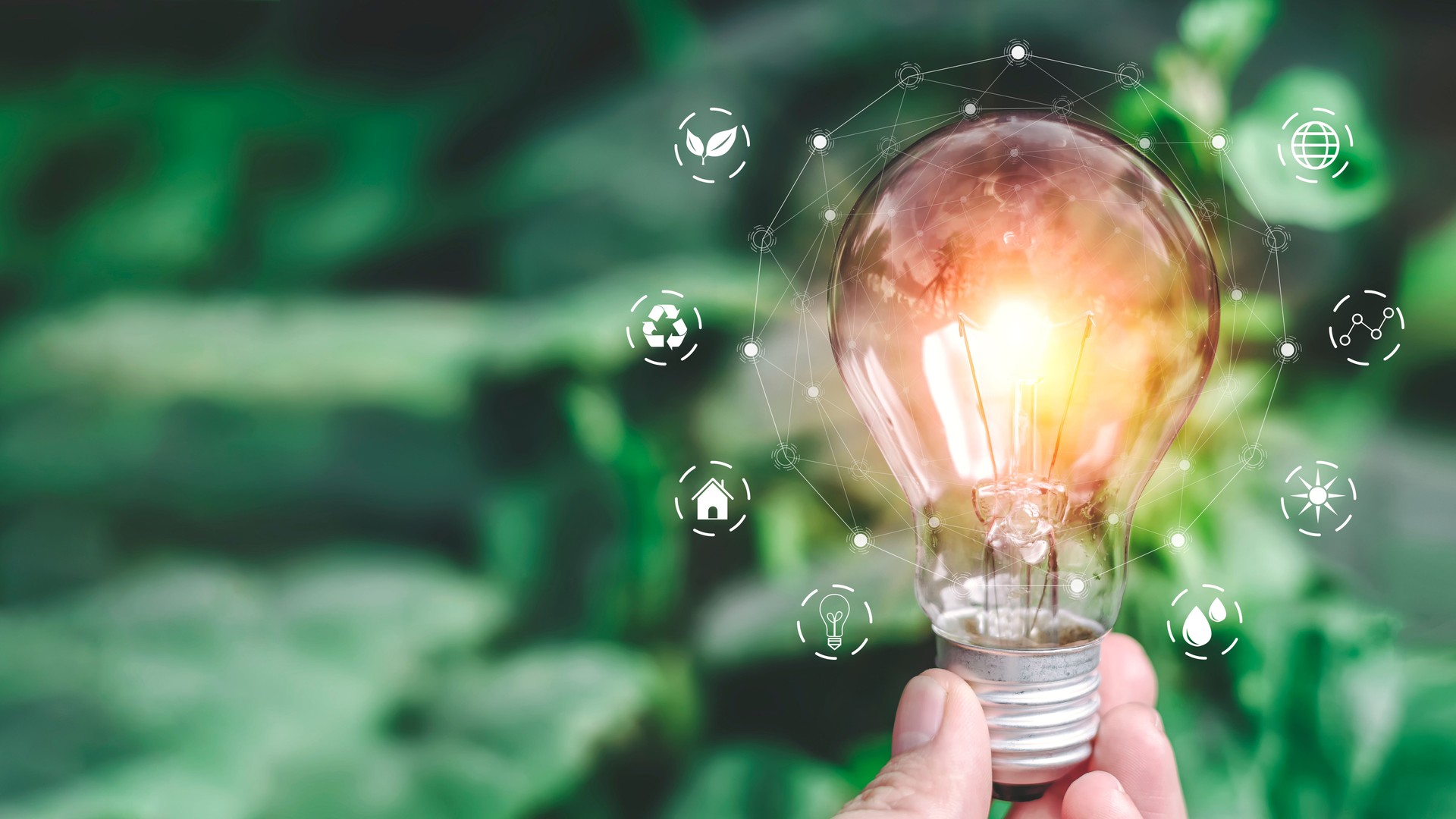 light bulb ideas on a background of blurred green trees Ecological energy efficiency energy efficiency concept